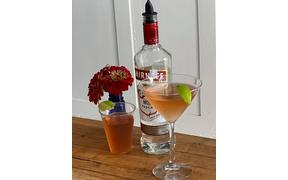 We have a $5 Cosmopolitan special today for dine in or take out
