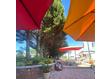 Our patio is feeling pretty perfect this evening